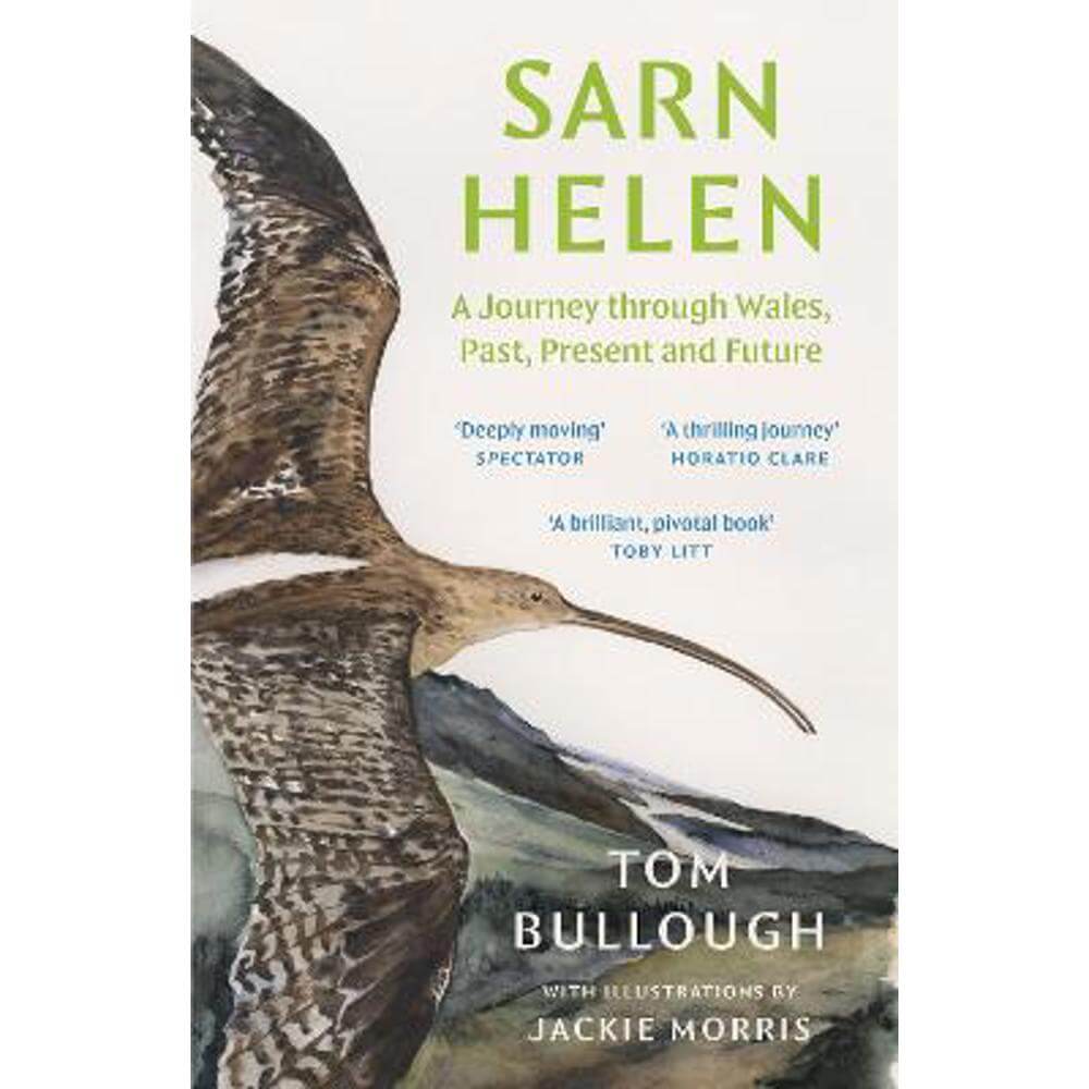 Sarn Helen: A Journey Through Wales, Past, Present and Future (Paperback) - Tom Bullough